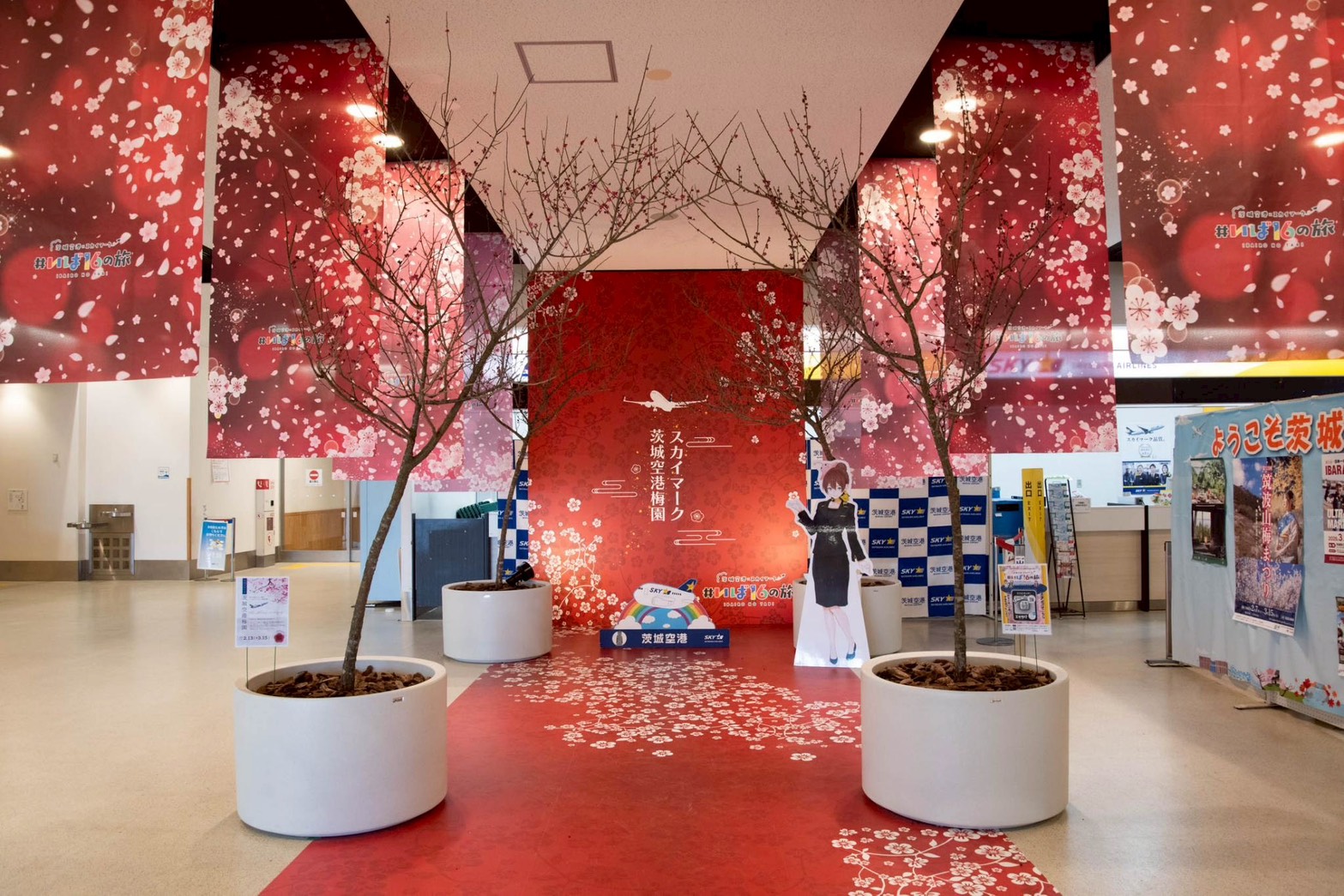 2026年　梅の木設置